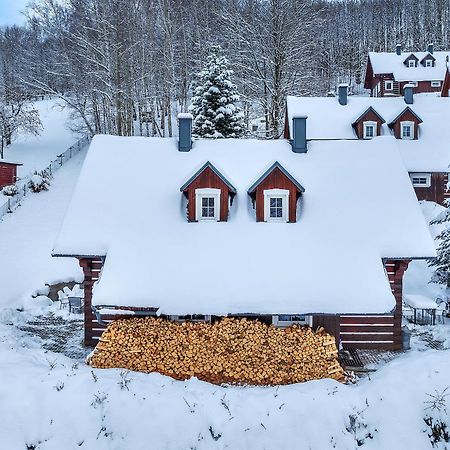Modern Chalet Na Zlatniku Zlata Olesnice  Exterior photo